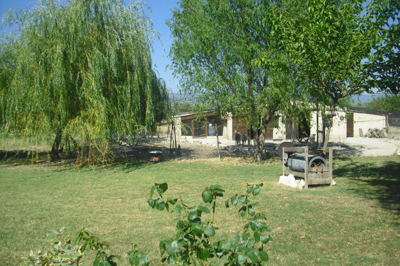 Apartament Lou Mas Li Pitchoun "Le Prunier " Gordes Zewnętrze zdjęcie