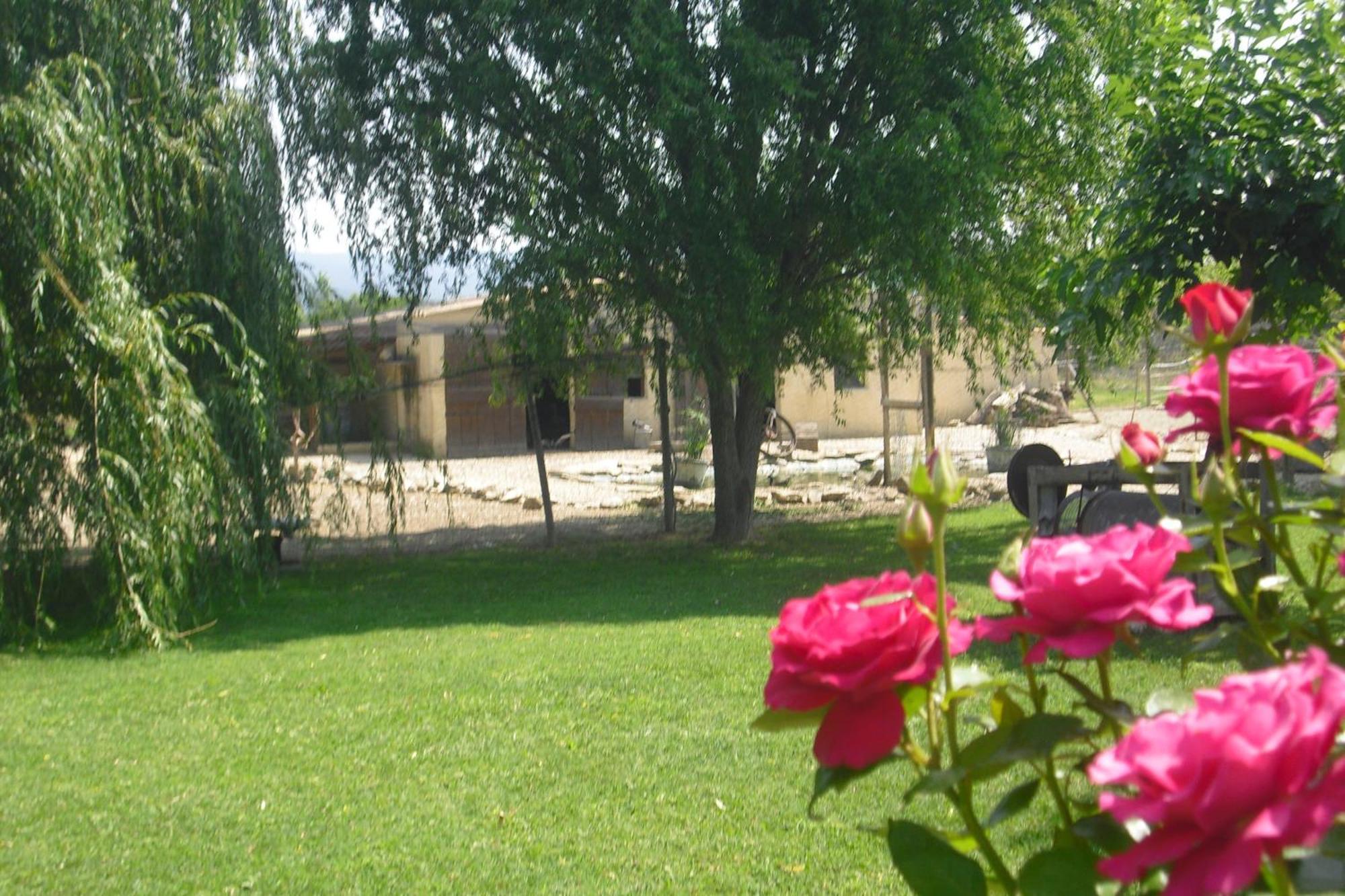 Apartament Lou Mas Li Pitchoun "Le Prunier " Gordes Zewnętrze zdjęcie