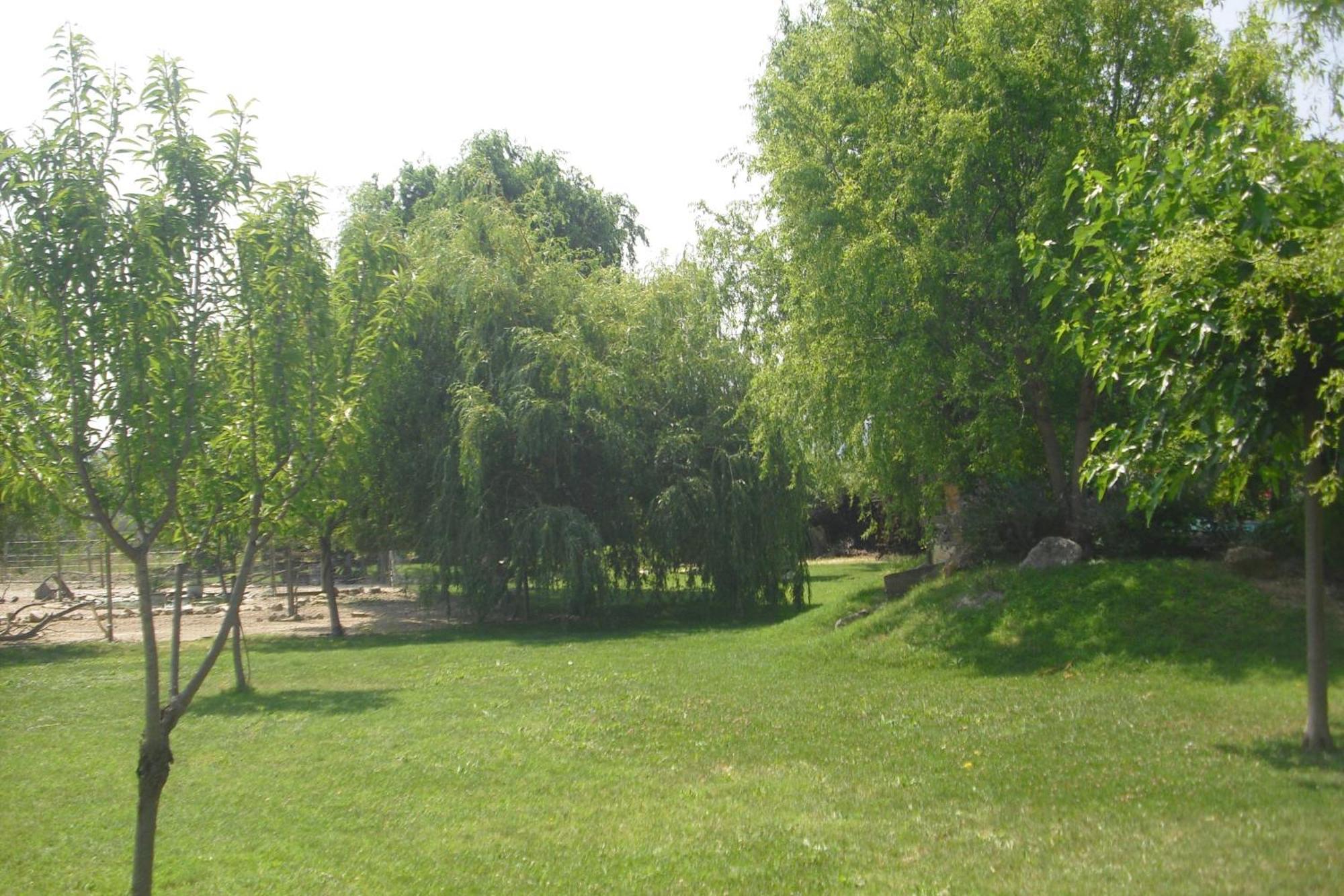 Apartament Lou Mas Li Pitchoun "Le Prunier " Gordes Zewnętrze zdjęcie