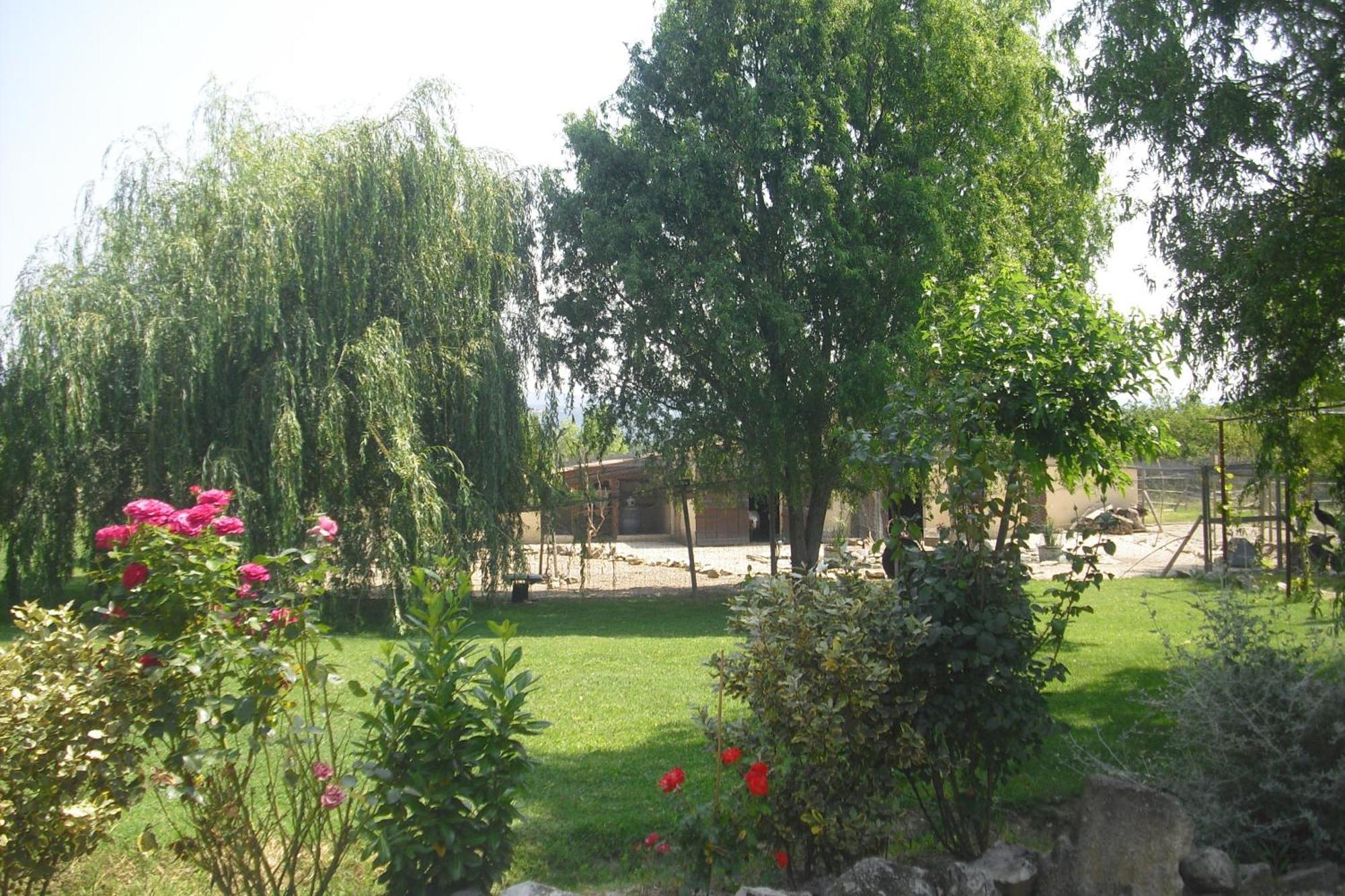 Apartament Lou Mas Li Pitchoun "Le Prunier " Gordes Zewnętrze zdjęcie